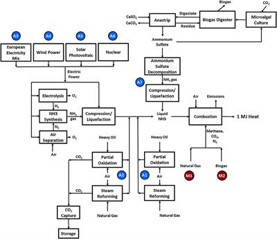 A Comparative Environmental Life Cycle Assessment of the Combustion of Ammonia/Methane Fuels in a Tangential Swirl Burner